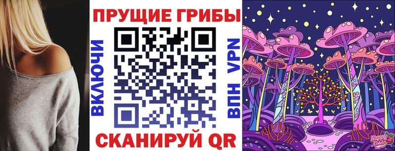 где можно купить   Баймак  мега ссылки  Галлюциногенные грибы Psilocybine cubensis 